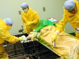 Japan conducts major mock drill for nuclear power accident